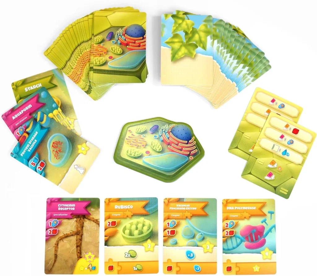 Cards and tiles of cellulose a plant cell biology game 